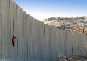 Scalare il muro - da http://laceroconfuso.wordpress.com/ David_palestina